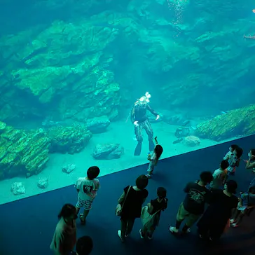 仙台うみの杜水族館に投稿された画像（2021/8/8）