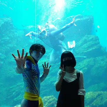 仙台うみの杜水族館に投稿された画像（2021/8/8）