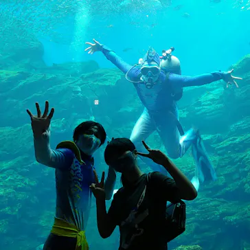 仙台うみの杜水族館に投稿された画像（2021/8/8）