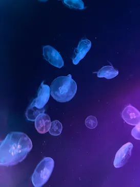 すみだ水族館に投稿された画像（2021/8/8）