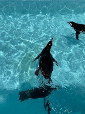 株式会社Gに投稿された画像（2021/8/8）