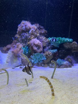 株式会社Gに投稿された画像（2021/8/8）