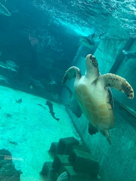 株式会社Gに投稿された画像（2021/8/8）