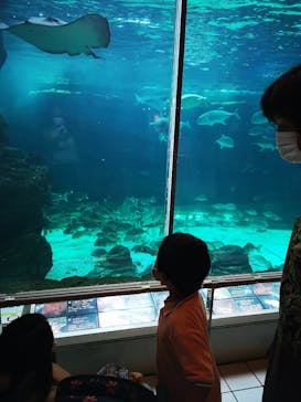 株式会社Gに投稿された画像（2021/8/8）