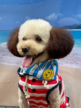 ニューヨークランプミュージアム＆フラワーガーデンに投稿された画像（2021/8/8）