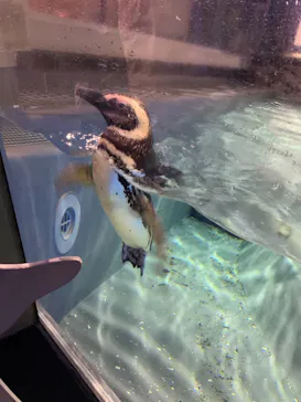すみだ水族館に投稿された画像（2021/8/8）