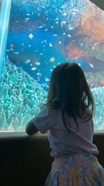 サンシャイン水族館に投稿された画像（2021/8/8）