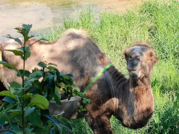 天王寺動物園に投稿された画像（2021/8/8）