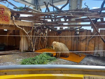 株式会社Gに投稿された画像（2021/8/8）