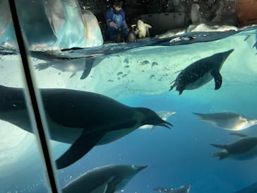 名古屋港水族館に投稿された画像（2021/8/8）