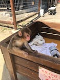 しろとり動物園に投稿された画像（2021/8/8）