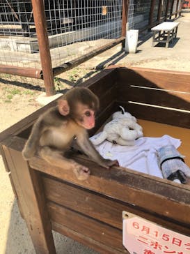 しろとり動物園に投稿された画像（2021/8/8）