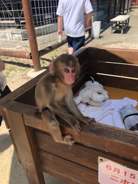 しろとり動物園に投稿された画像（2021/8/8）