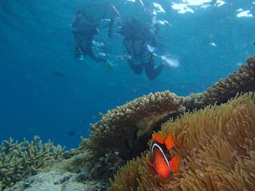 Sea World（シーワールド）に投稿された画像（2021/8/8）