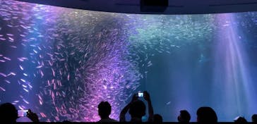名古屋港水族館に投稿された画像（2021/8/8）