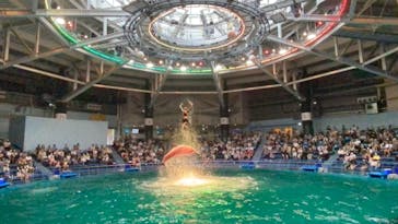 マクセル アクアパーク品川に投稿された画像（2021/8/8）