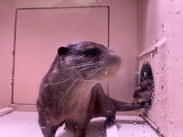 マクセル アクアパーク品川に投稿された画像（2021/8/8）