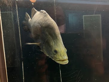 株式会社Gに投稿された画像（2021/8/8）