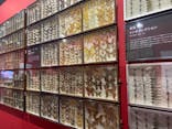 特別展「昆虫」(名古屋市科学館)に投稿された画像（2021/8/8）