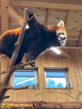 伊豆シャボテン動物公園に投稿された画像（2021/8/8）