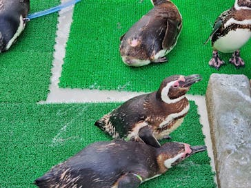 株式会社Gに投稿された画像（2021/8/8）