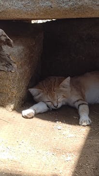 神戸どうぶつ王国に投稿された画像（2021/8/8）