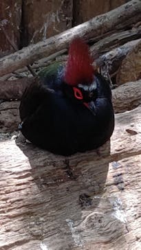 神戸どうぶつ王国に投稿された画像（2021/8/8）