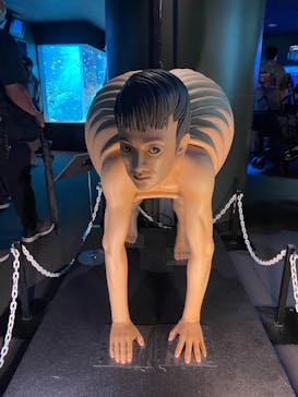 サンシャイン水族館に投稿された画像（2021/8/8）