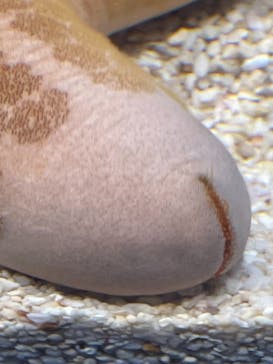 サンシャイン水族館に投稿された画像（2021/8/8）