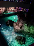 すみだ水族館に投稿された画像（2021/8/8）