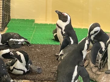 名古屋港水族館に投稿された画像（2021/8/8）