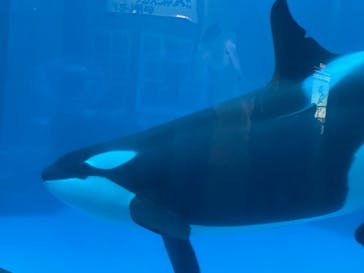 名古屋港水族館に投稿された画像（2021/8/8）