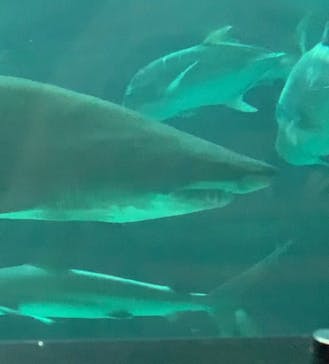 株式会社Gに投稿された画像（2021/8/8）