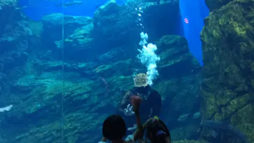 仙台うみの杜水族館に投稿された画像（2021/8/8）