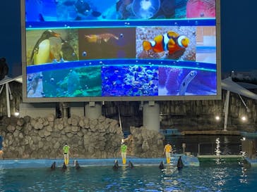 名古屋港水族館に投稿された画像（2021/8/8）