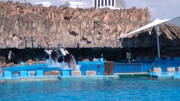 名古屋港水族館に投稿された画像（2021/8/8）