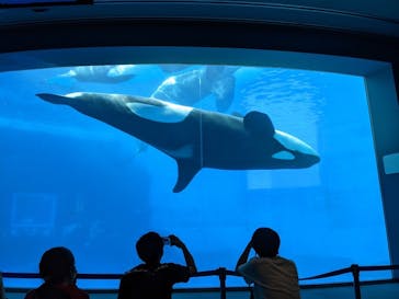 名古屋港水族館に投稿された画像（2021/8/8）