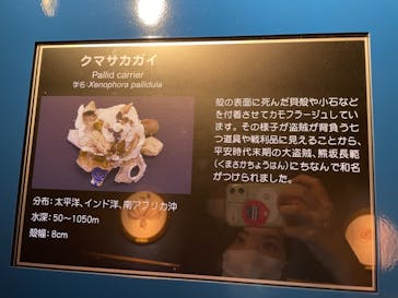 名古屋港水族館に投稿された画像（2021/8/8）