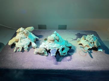 名古屋港水族館に投稿された画像（2021/8/8）