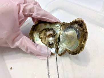 名古屋港水族館に投稿された画像（2021/8/8）