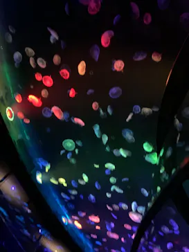 すみだ水族館に投稿された画像（2021/8/8）