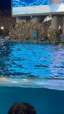 名古屋港水族館に投稿された画像（2021/8/8）