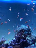 サンシャイン水族館に投稿された画像（2021/8/8）