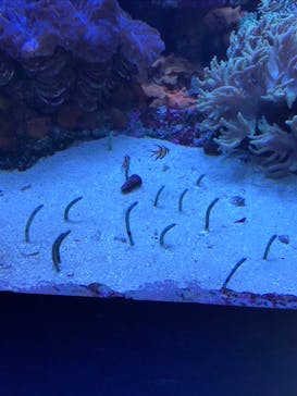 サンシャイン水族館に投稿された画像（2021/8/8）