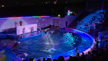 仙台うみの杜水族館に投稿された画像（2021/8/8）
