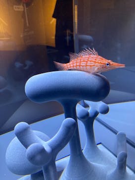 京都水族館に投稿された画像（2021/8/8）