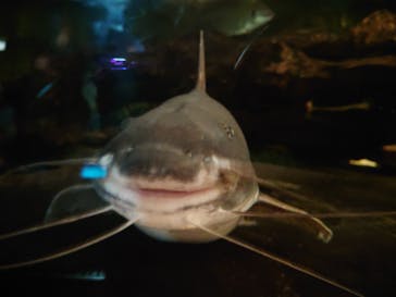 サンシャイン水族館に投稿された画像（2021/8/8）