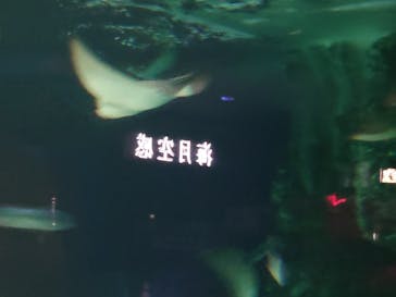 サンシャイン水族館に投稿された画像（2021/8/8）