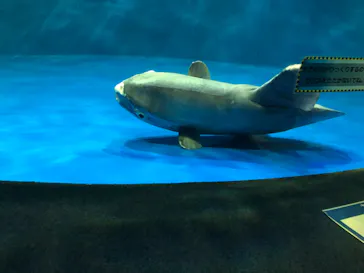 仙台うみの杜水族館に投稿された画像（2021/8/8）