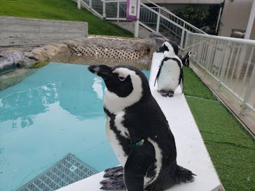 マリンワールド海の中道に投稿された画像（2021/8/8）